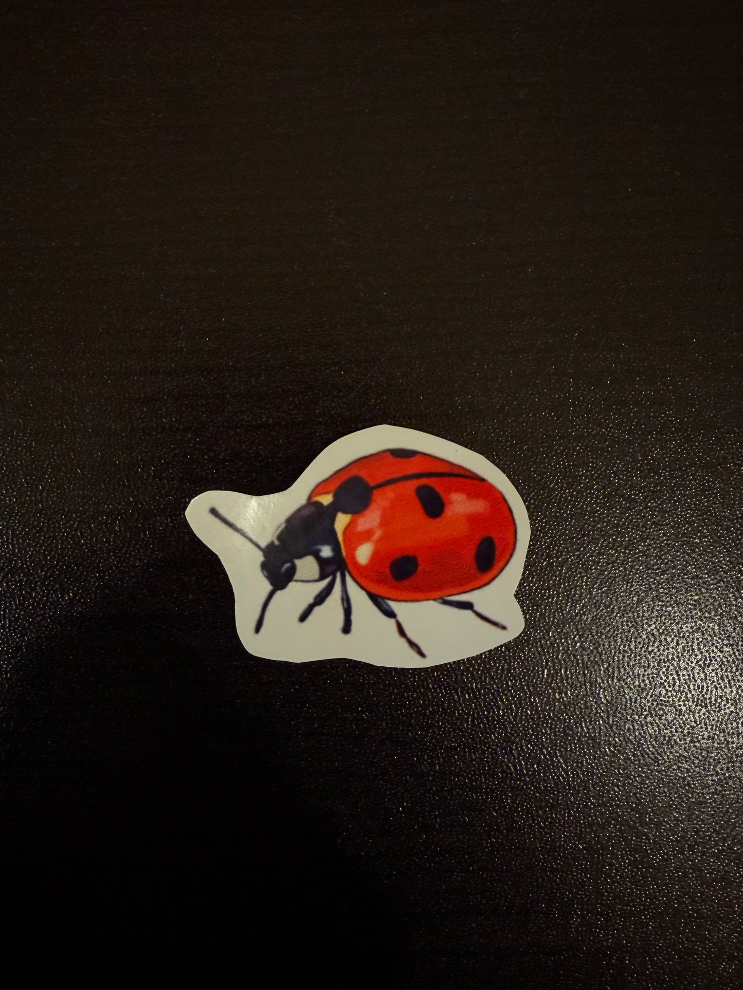 Ladybug Sticker
